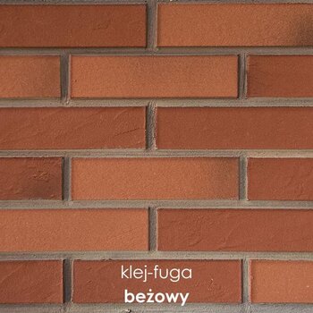 P.6 Warna