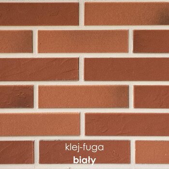 P.6_biały