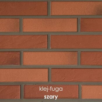 P.6_szary