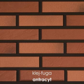 P.6_antracyt