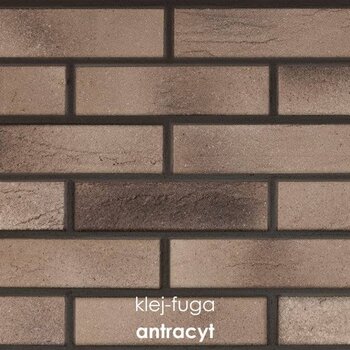 P.69_antracyt