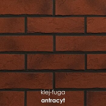 SC.105_antracyt
