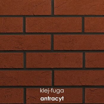 105_antracyt