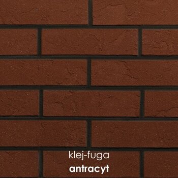 107_antracyt