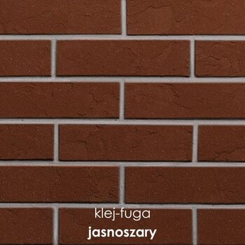 107_jasnoszary