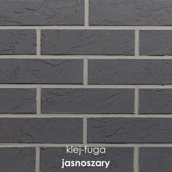 110_jasnoszary