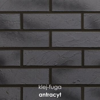 111_antracyt