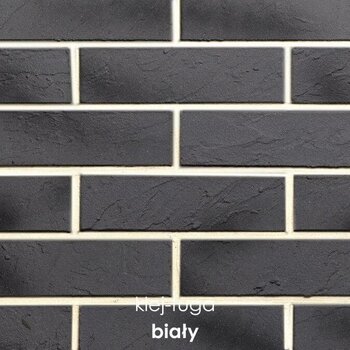 111_biały