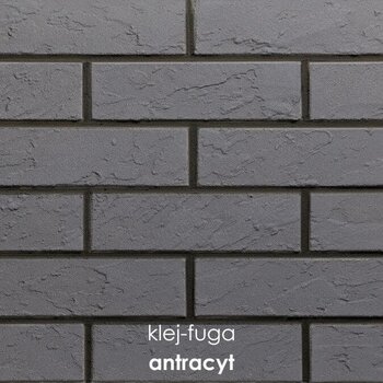 112_antracyt