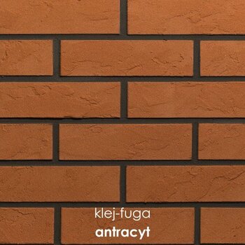 114_antracyt
