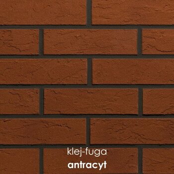 115_antracyt