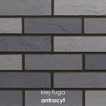 120_antracyt