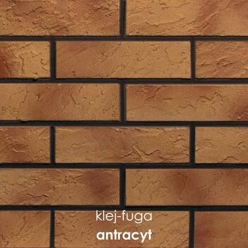 123_antracyt