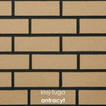 C.11_antracyt