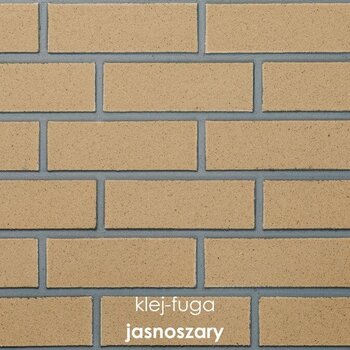 C.11_jasnoszary
