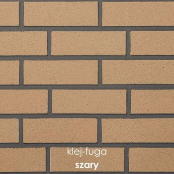 C.11_szary