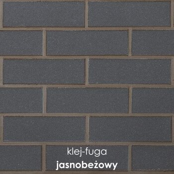  C.16_jasnobeżowy