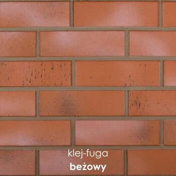 C.21_beżowy