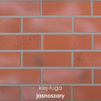 C.21_jasnoszary
