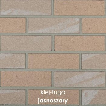 C.54_jasnoszary